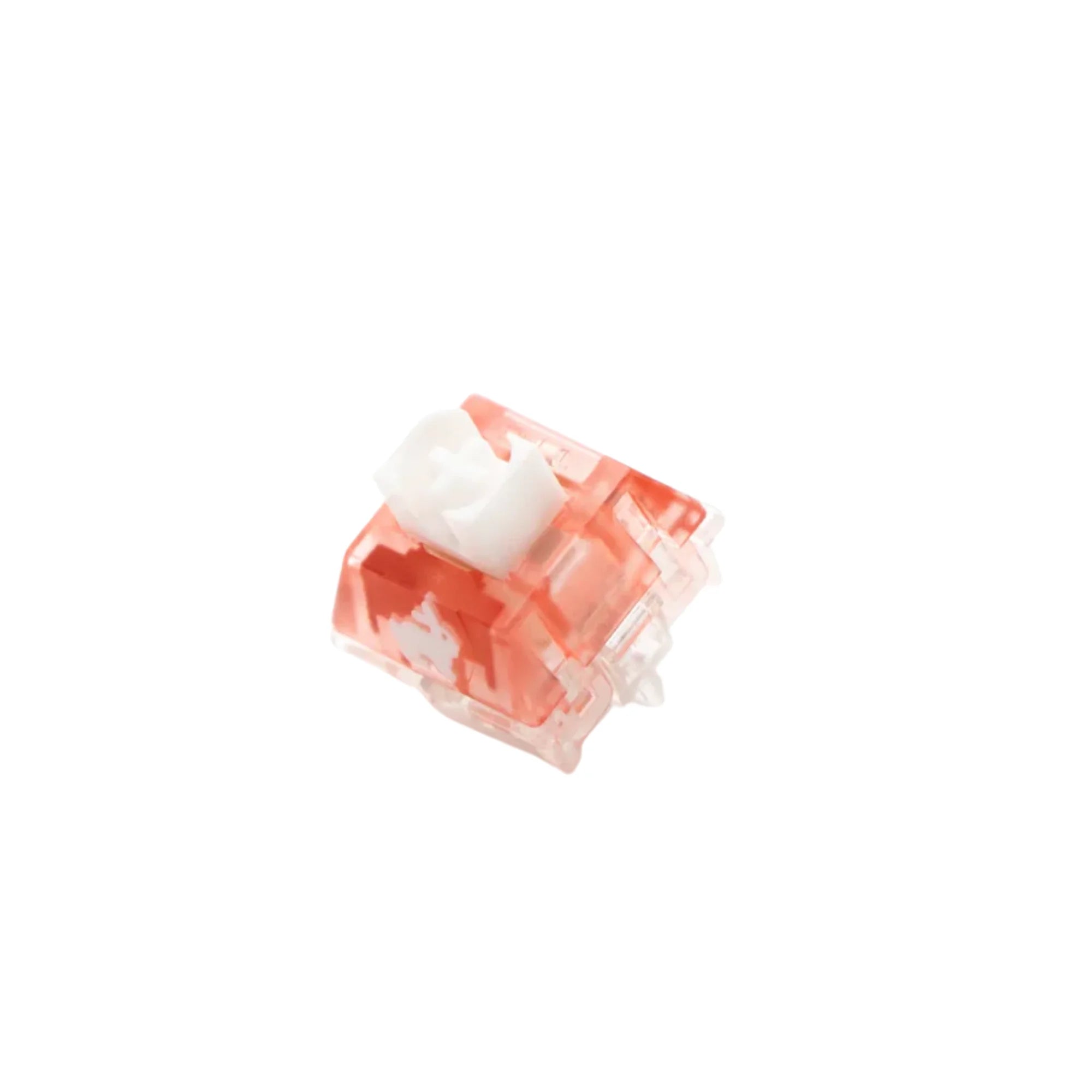 TTC RGB Rabbit Silent Switch – Toronto KeyboardMan