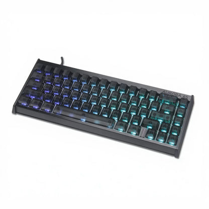 IPI Aurora65 He Keyboard