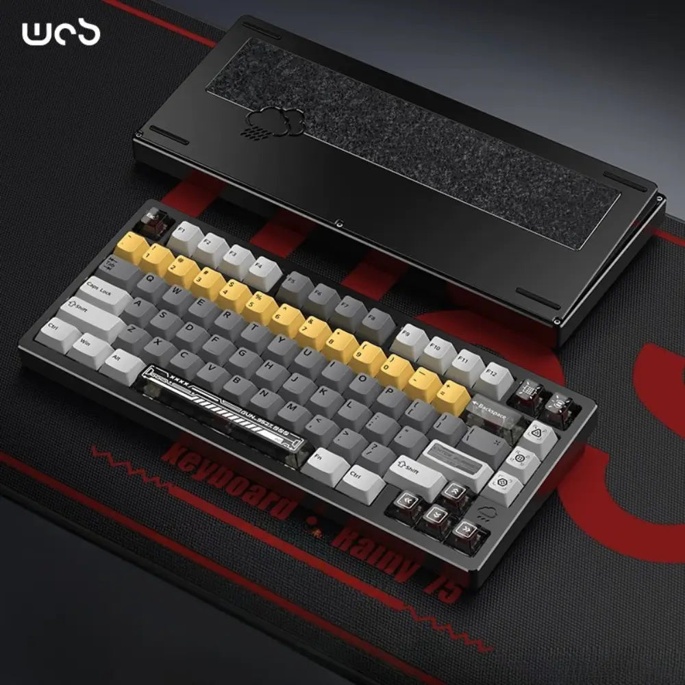 Rainy 75 RT/HE Black Pro keyboard