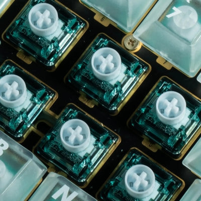 Gateron Jade Attraction He Magnetic Switch
