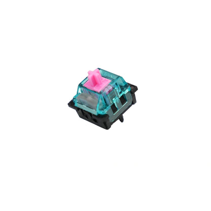 Titan Nation Miami HE Magnetic Switch