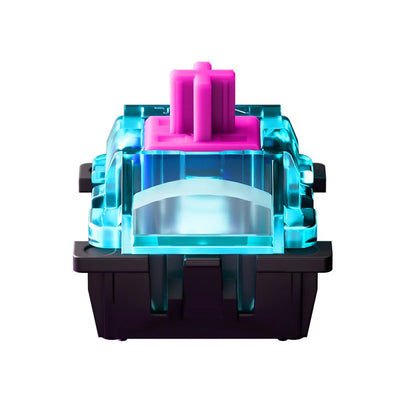 Titan Nation Miami HE Magnetic Switch