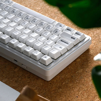 XVX Minimal White Ceramic Keycaps