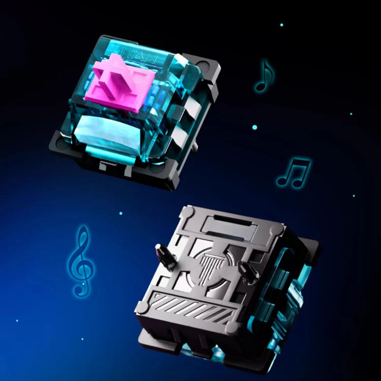 Titan Nation Miami HE Magnetic Switch